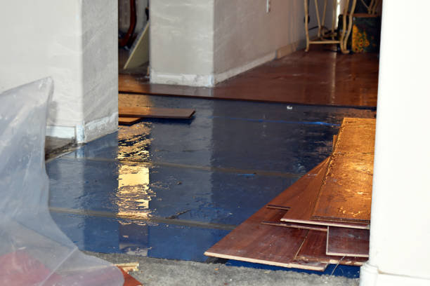 Professional Sewage Cleanup technician working in Laceys Spring, AL